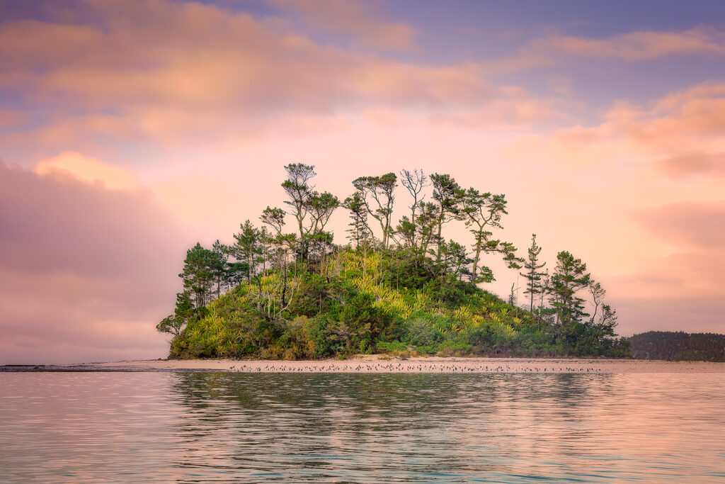 Beehive Island