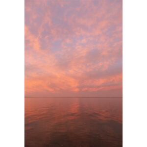 Pink Ocean Sunset New Zealand