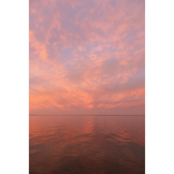 Pink Ocean Sunset New Zealand